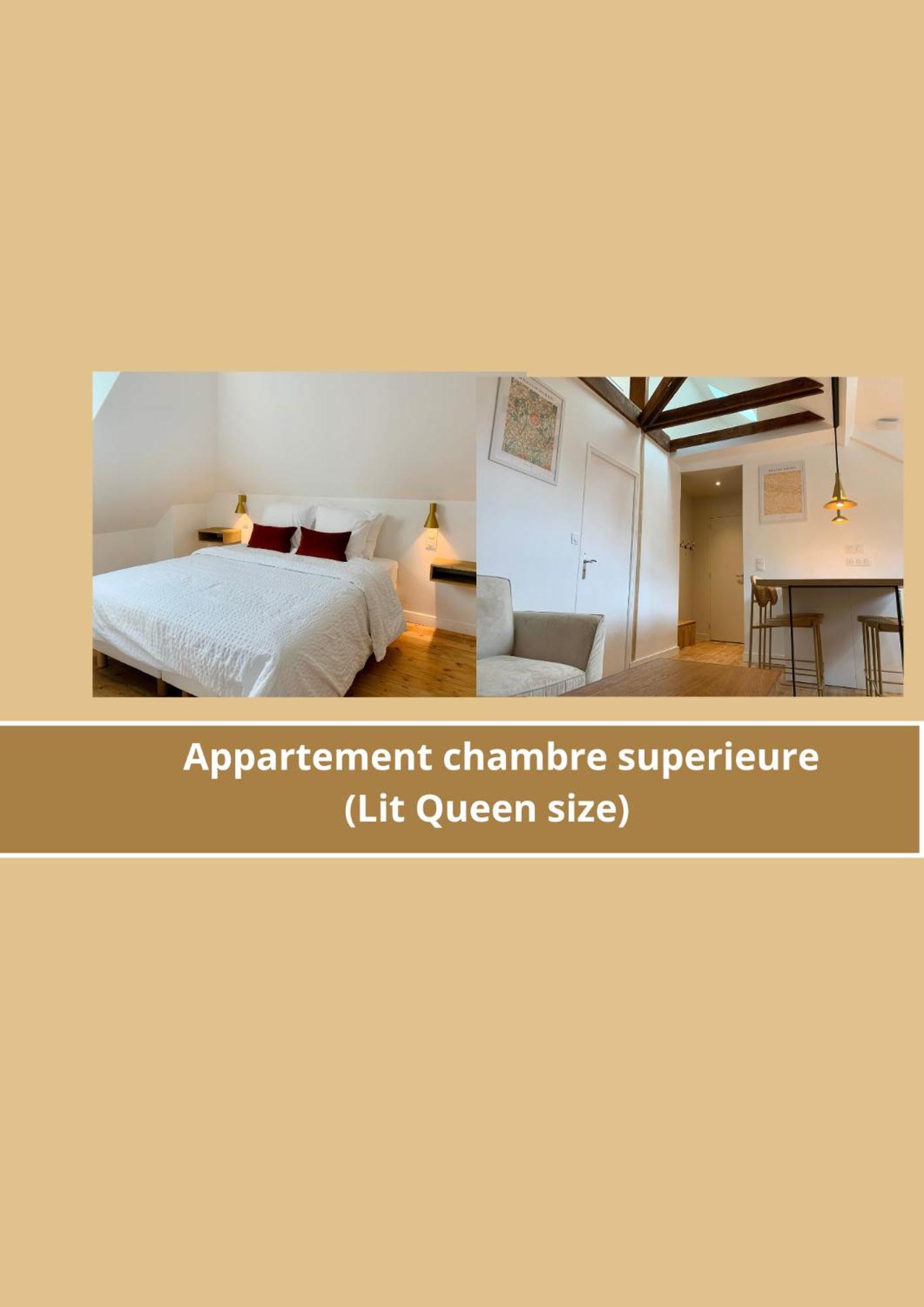 La Belle Odet' - Choix D'Appartements- Centre Ville-Quais Quimper Esterno foto
